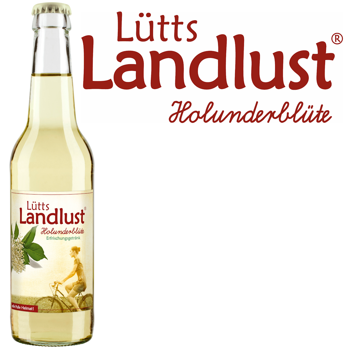 Lütts Landlust Holunderblüte Schorle (24/0,33 Ltr. Glas MEHRWEG)